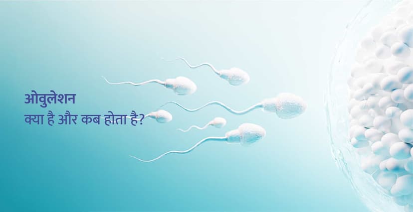 Ovulation Meaning in Hindi: ओवुलेशन क्या होता है?