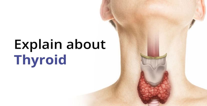 How Does Hypothyroidism Impact Fertility