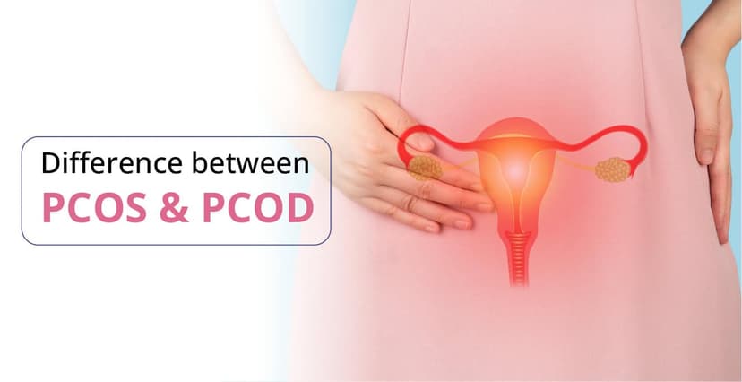 PCOS এবং PCOD এর মধ্যে পার্থক্য কি?