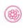 One Day 3 Embryo Developed