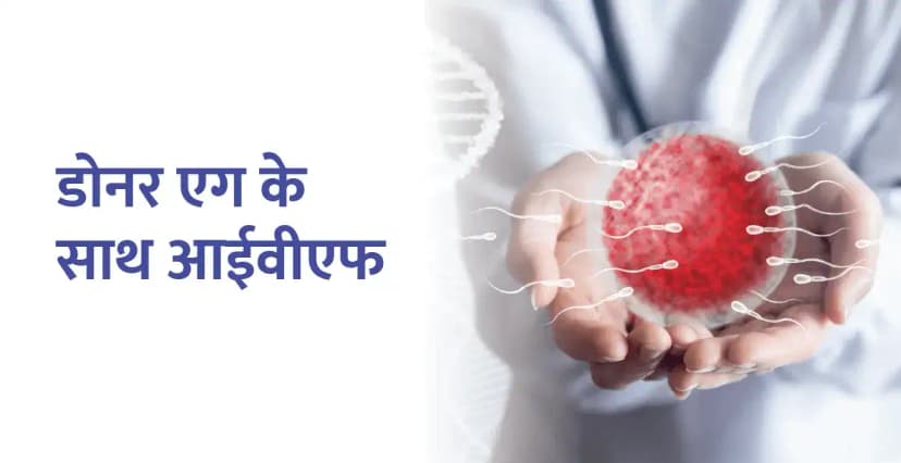 डोनर अंडे के साथ आईवीएफ: आपकी संभावनाएं क्या हैं?