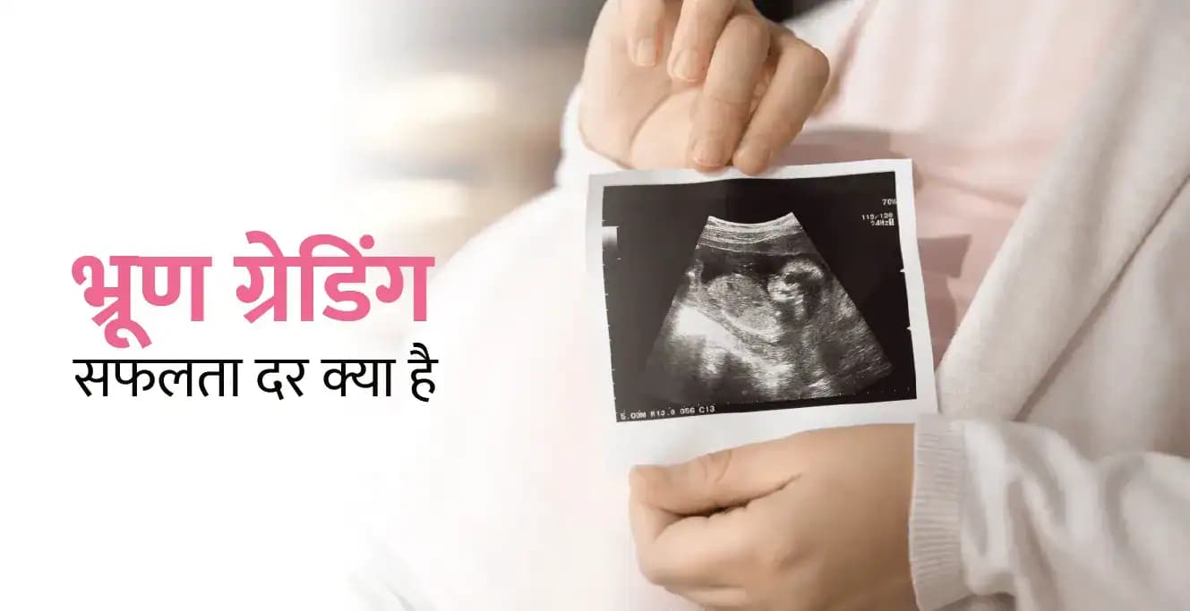 भ्रूण ग्रेडिंग और सफलता दर: वह सब कुछ जो आपको जानना आवश्यक है