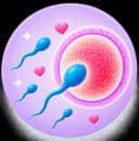Ovulation Calculator