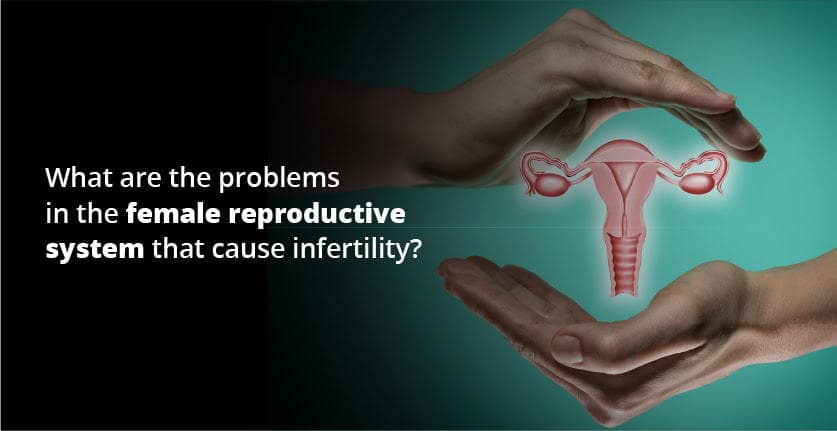 സ്ത്രീ വന്ധ്യതയ്ക്ക് കാരണമാകുന്നത് എന്താണ്?