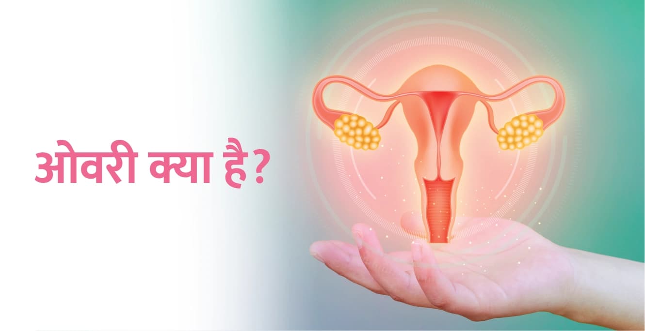 Ovary Meaning in Hindi: ओवरी क्या है और इसका आकार क्यों बदलता है?