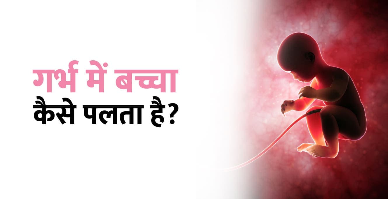 गर्भ में बच्चे का विकास कैसे होता है?