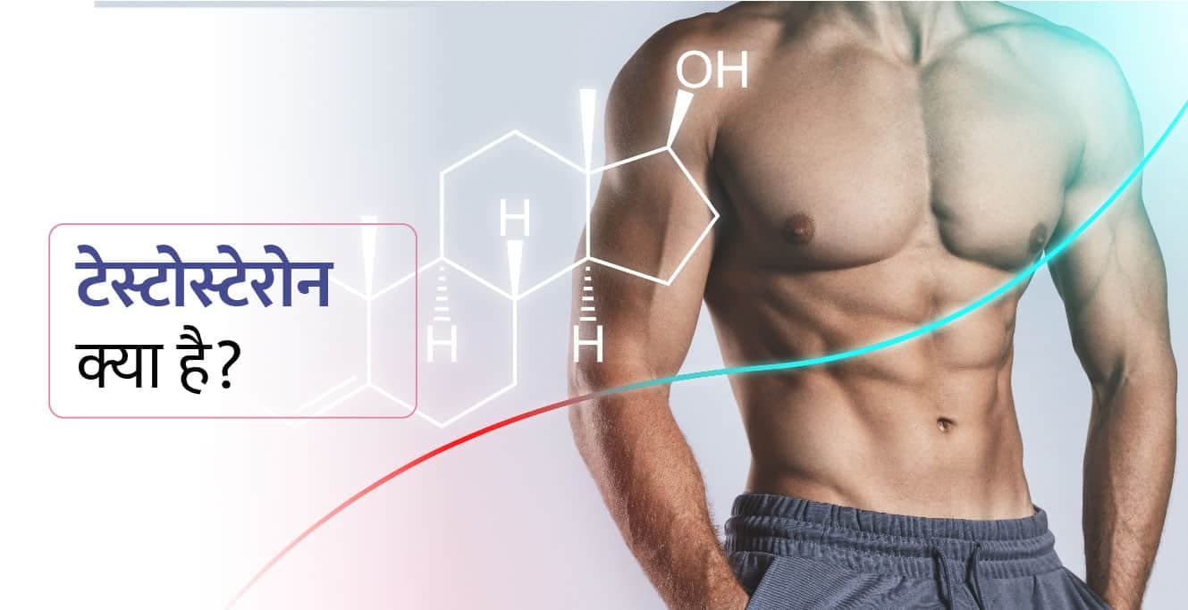 टेस्टोस्टेरोन क्या है? स्तर, कमी के लक्षण और टेस्टोस्टेरोन कैसे बढ़ाएं