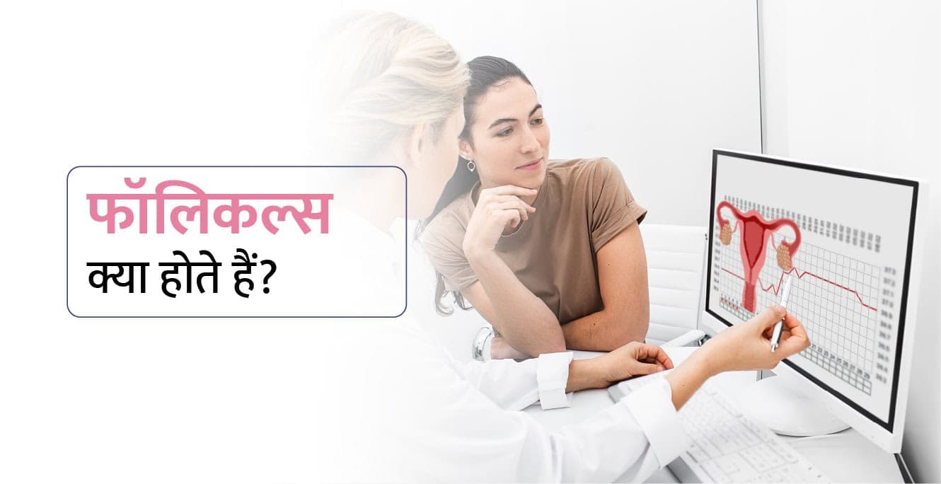 Follicles Meaning in Hindi: फॉलिकल्स क्या होता है?