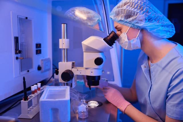 Want to freeze eggs? Explore options