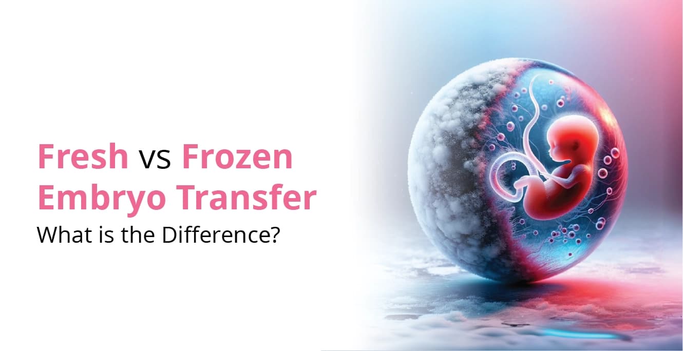 Fresh vs. Frozen Embryo Transfer: What is the Difference?