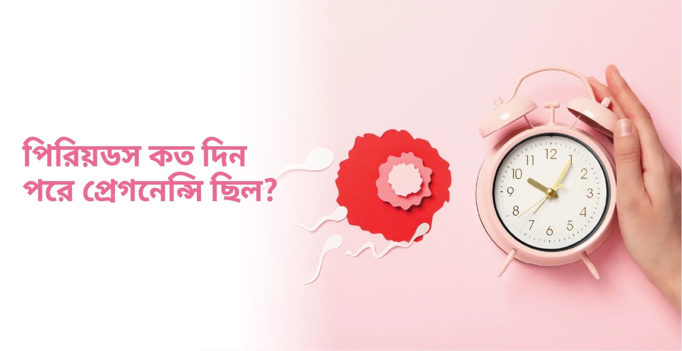 পিরিয়ডস কত দিন পরে প্রেগনেন্সি ছিল?