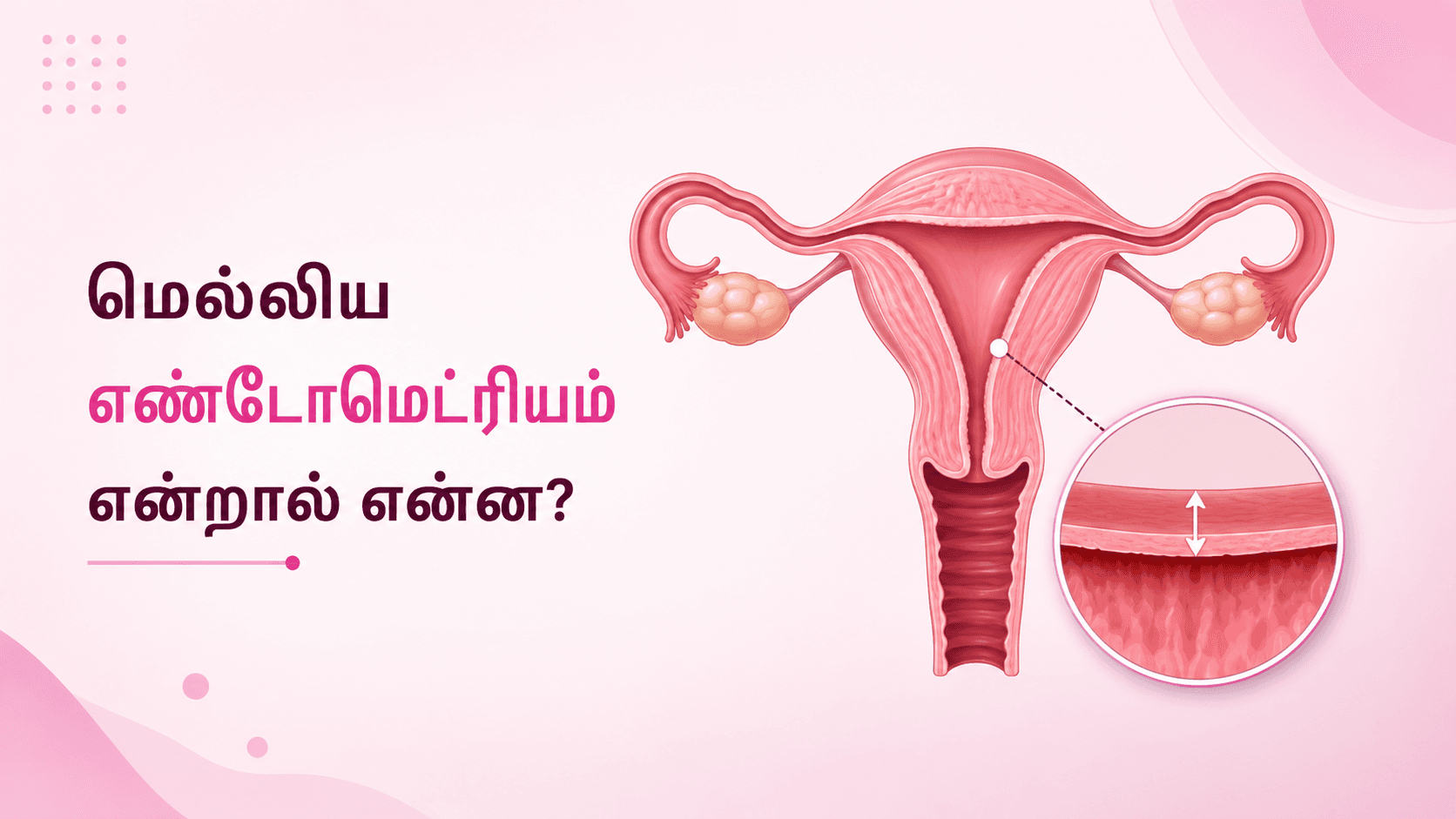 மெல்லிய எண்டோமெட்ரியம்: அளவு, அறிகுறிகள், காரணங்கள் மற்றும் சிகிச்சை