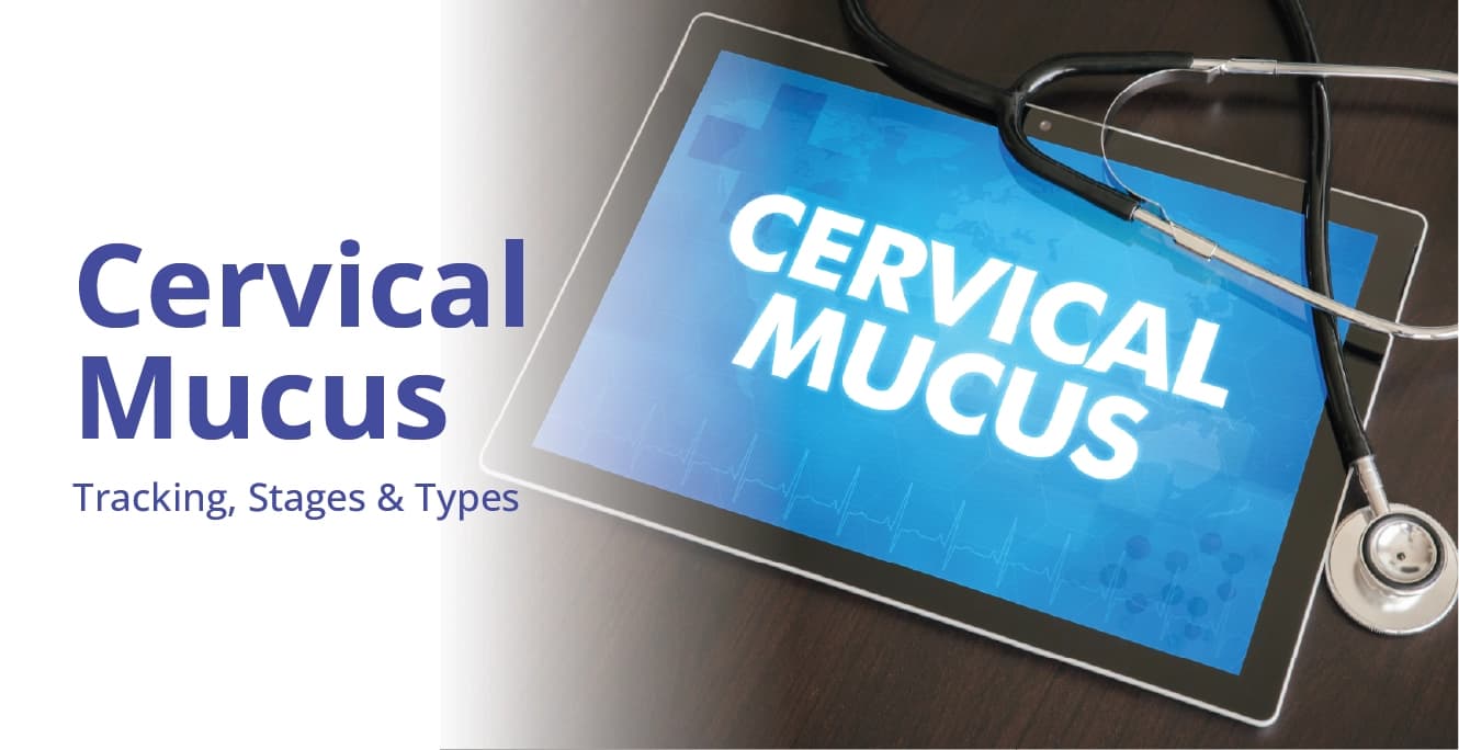 Cervical Mucus: tracking, stages & types