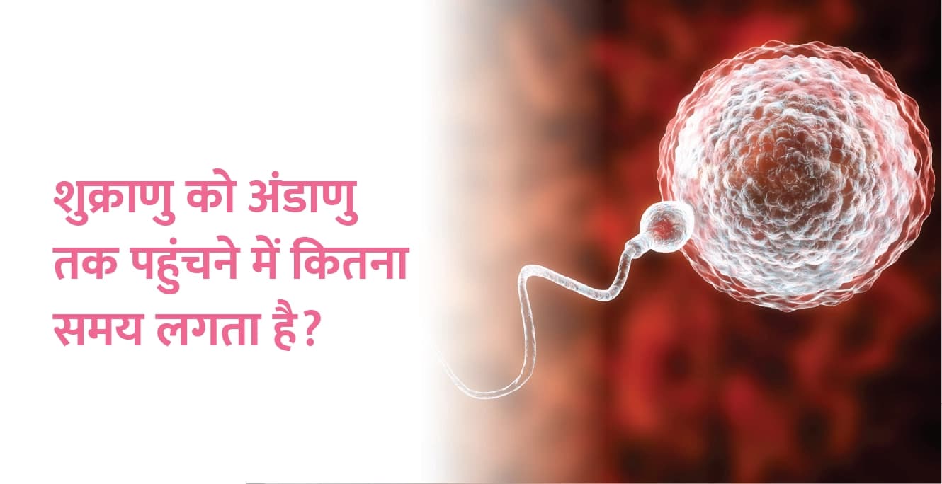 शुक्राणु को अंडाणु तक पहुंचने में कितना समय लगता है?