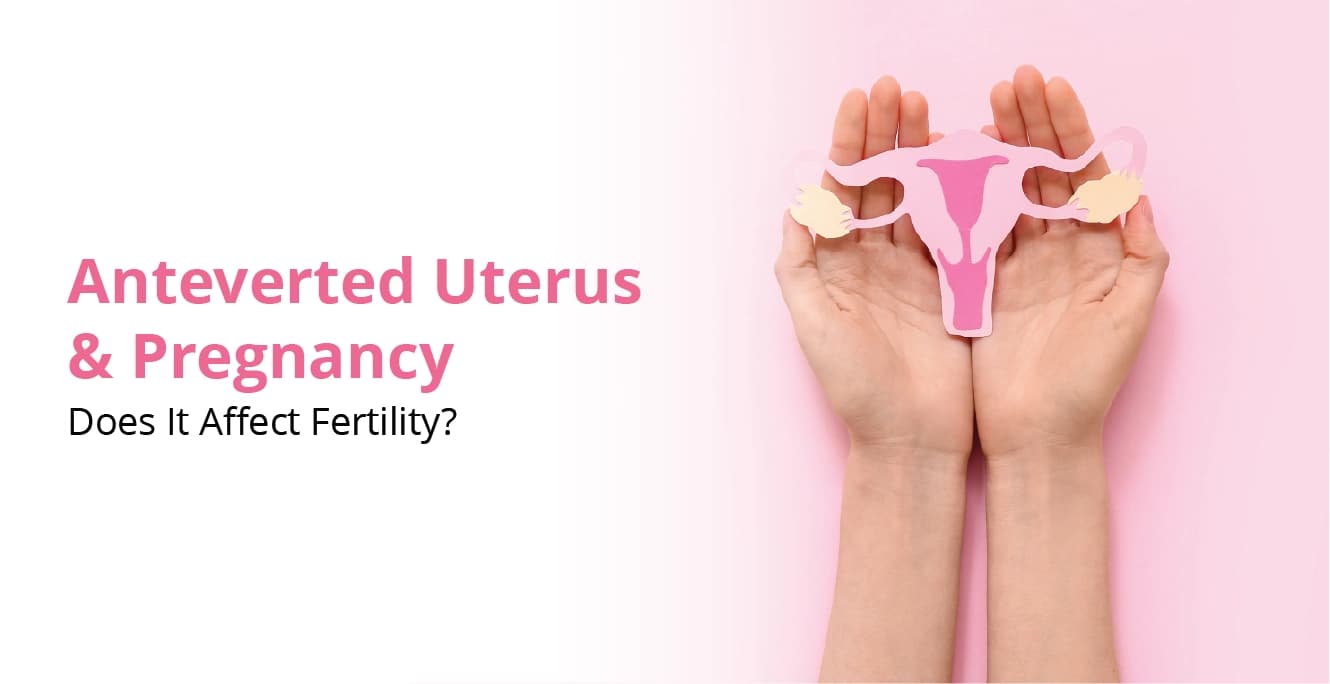 Impact of Anteverted Uterus on Pregnancy