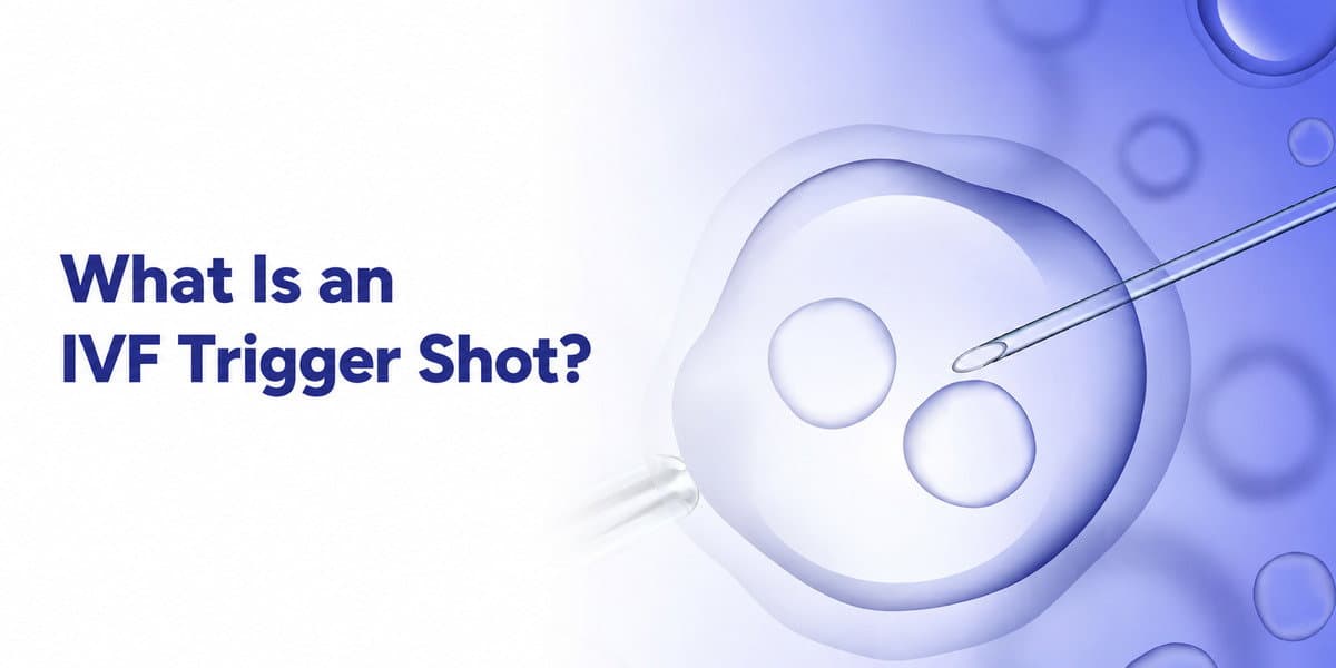 What Is an IVF Trigger Shot? Timing, Types, Uses & Side Effects