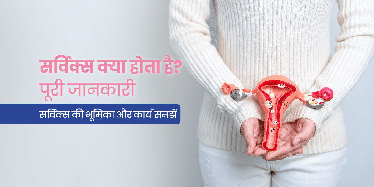सर्विक्स क्या है?
