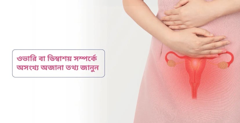 ওভারি বা ডিম্বাশয় সম্পর্কে অসংখ্য অজানা তথ্য জানুন: ফার্টিলিটির ক্ষেত্রে এর ভূমিকা কতটা গুরুত্বপূর্ণ তার ব্যাপারে অবহিত হোন