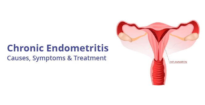 Chronic Endometritis: Causes, Symptoms & Treatment
