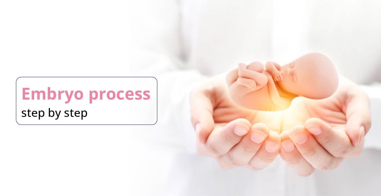 ફ્રોઝન એમ્બ્રીયો ટ્રાન્સફર પ્રક્રિયાને સ્ટેપ બાય સ્ટેપ સમજવી