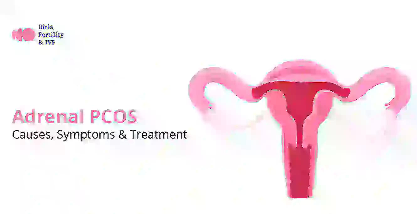 அட்ரீனல் பிசிஓஎஸ்: காரணங்கள், அறிகுறிகள் மற்றும் சிகிச்சை