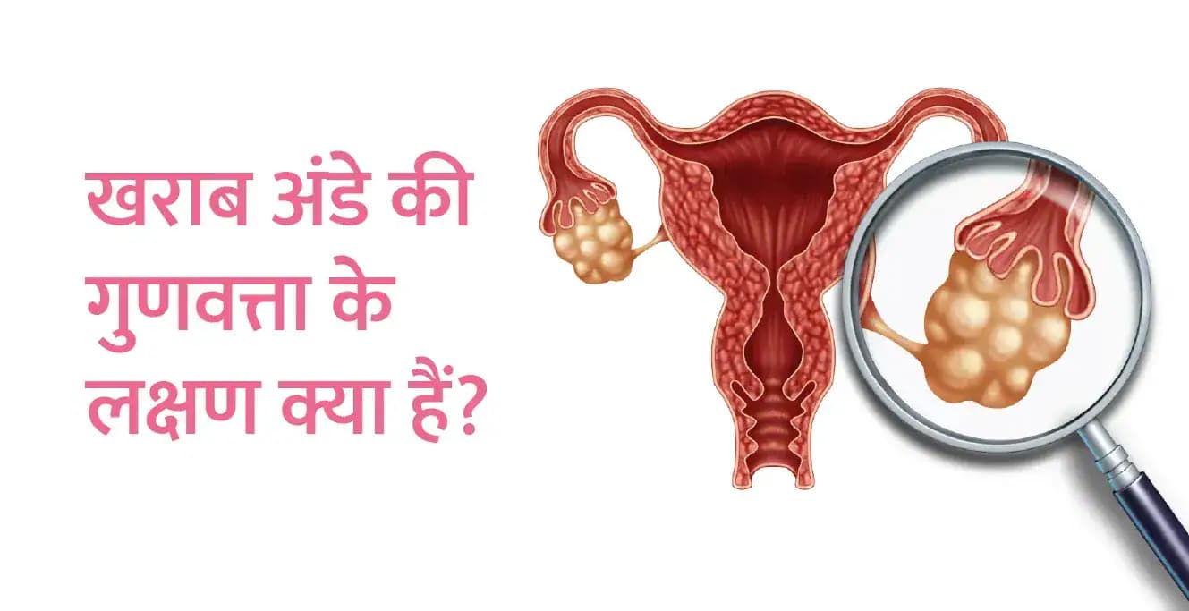 Signs of Bad Egg Quality in Hindi – खराब अंडे की गुणवत्ता के लक्षण क्या हैं?