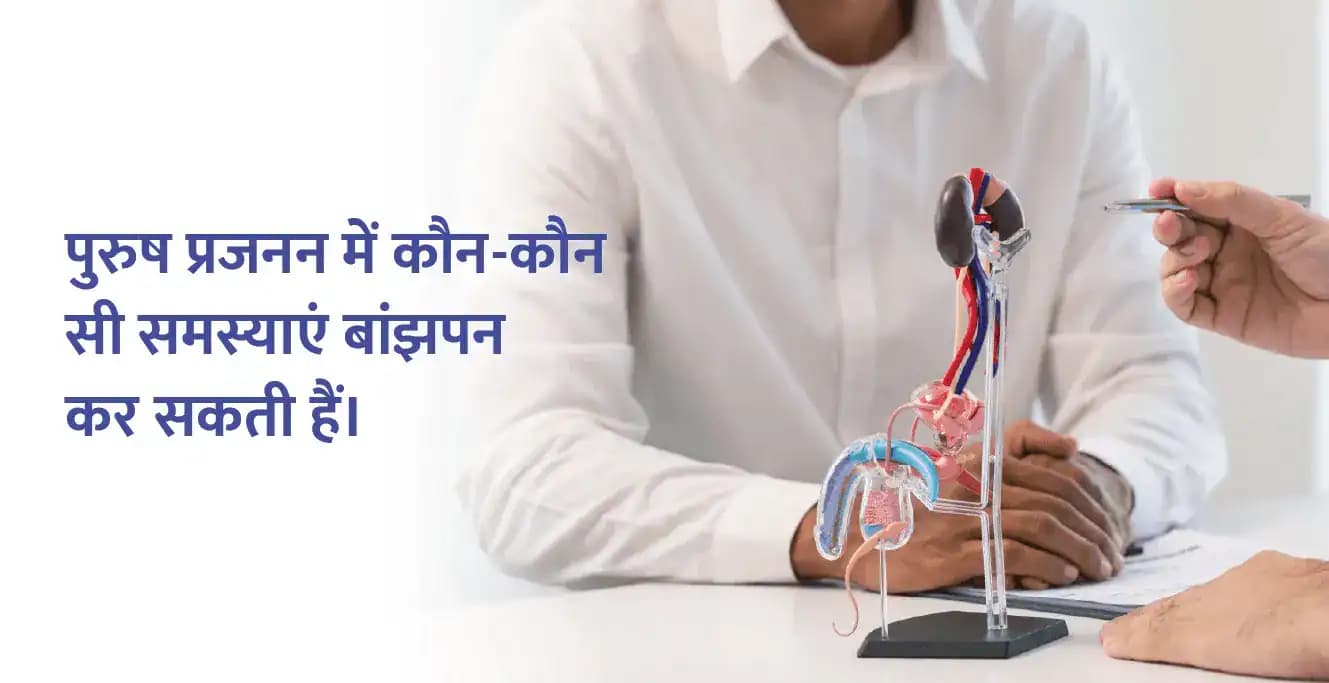 पुरुष प्रजनन में कौन-कौन सी समस्याएं बांझपन कर सकती हैं