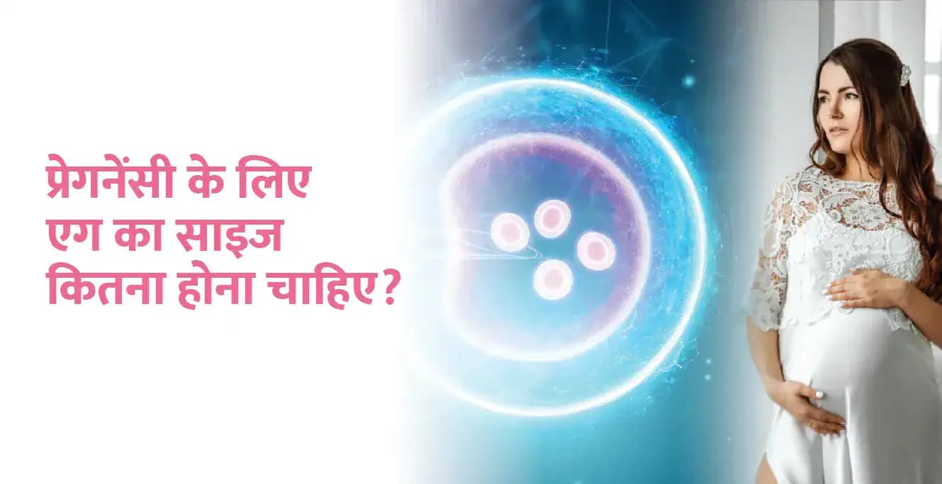 प्रेगनेंसी के लिए एग का साइज कितना होना चाहिए?