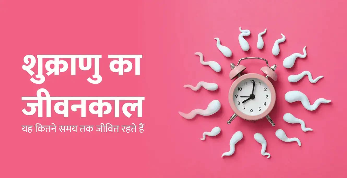 Lifespan of Sperm: शुक्राणु का जीवनकाल – यह कितने समय तक जीवित रहते हैं?