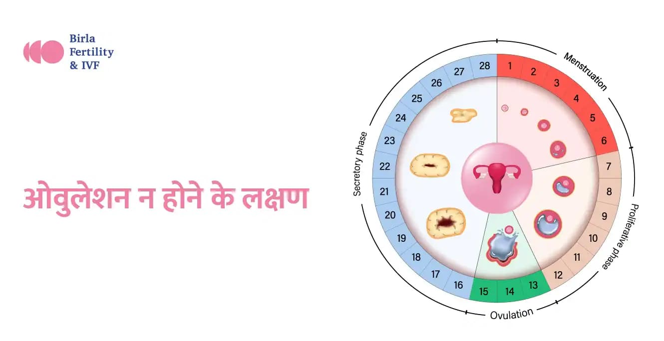 ओवुलेशन न होने के लक्षण: कैसे पहचानें? – Symptoms of anovulation