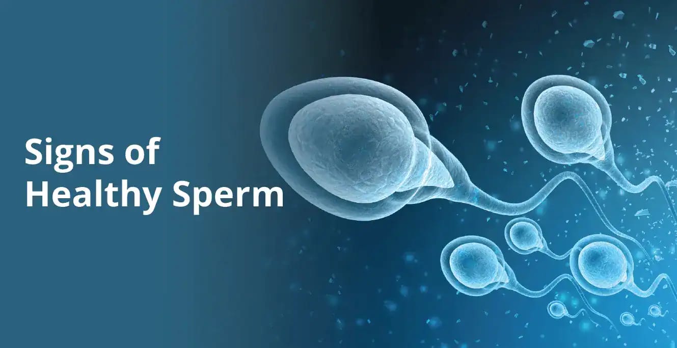 What Are The Signs Of Healthy Sperm