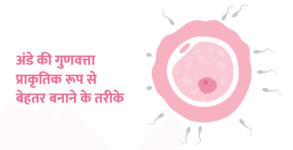 अंडे की गुणवत्ता प्राकृतिक रूप से बेहतर बनाने के तरीके