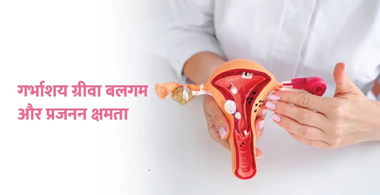 ग्रीवा श्लेम: वह सब कुछ जो आपको जानना आवश्यक है