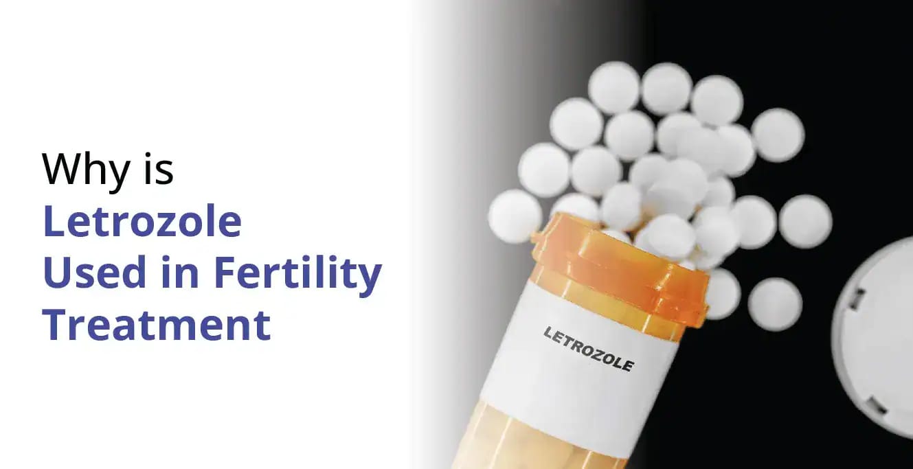 Why is Letrozole Used in Fertility Treatment