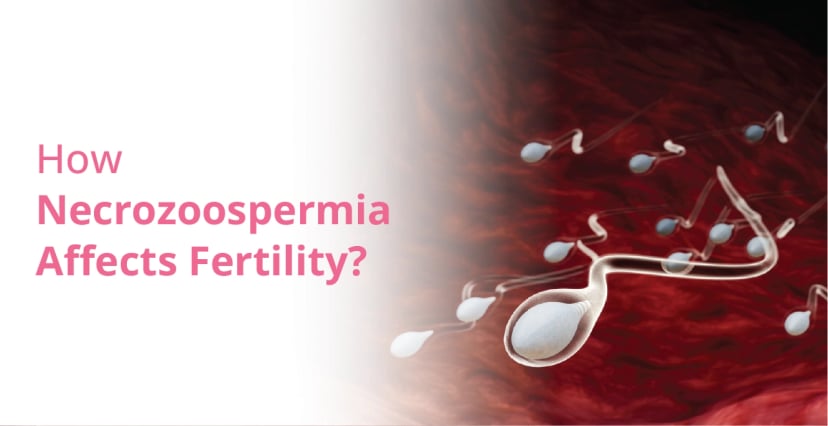 How Necrozoospermia affects fertility?