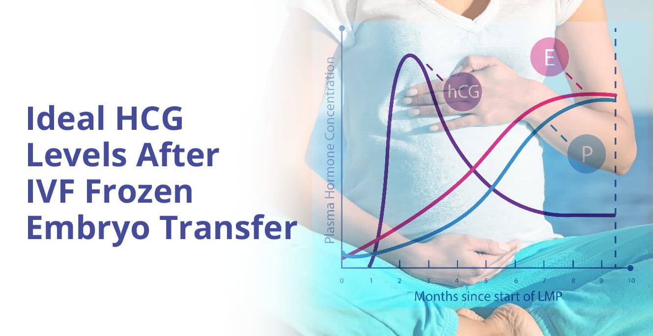 IVF फ्रोझन भ्रूण हस्तांतरणानंतर hCG पातळी