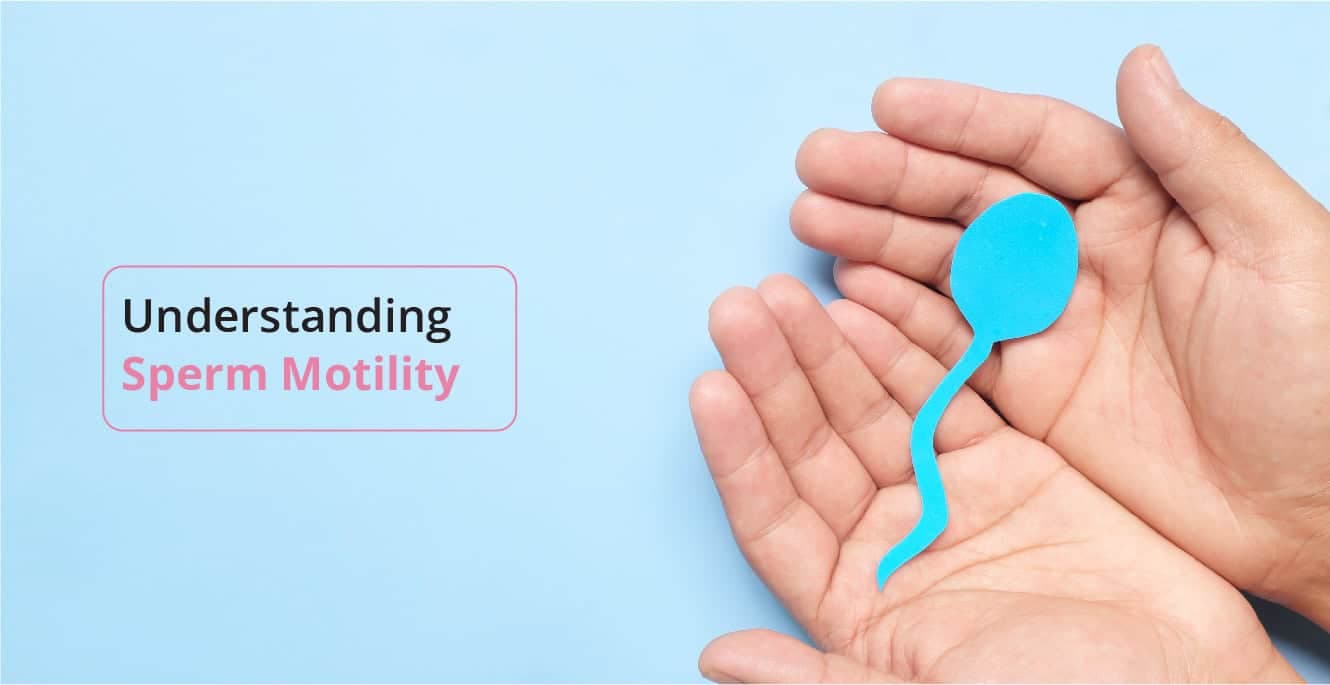 পুরুষ উর্বরতায় শুক্রাণুর গতিশীলতার ভূমিকা