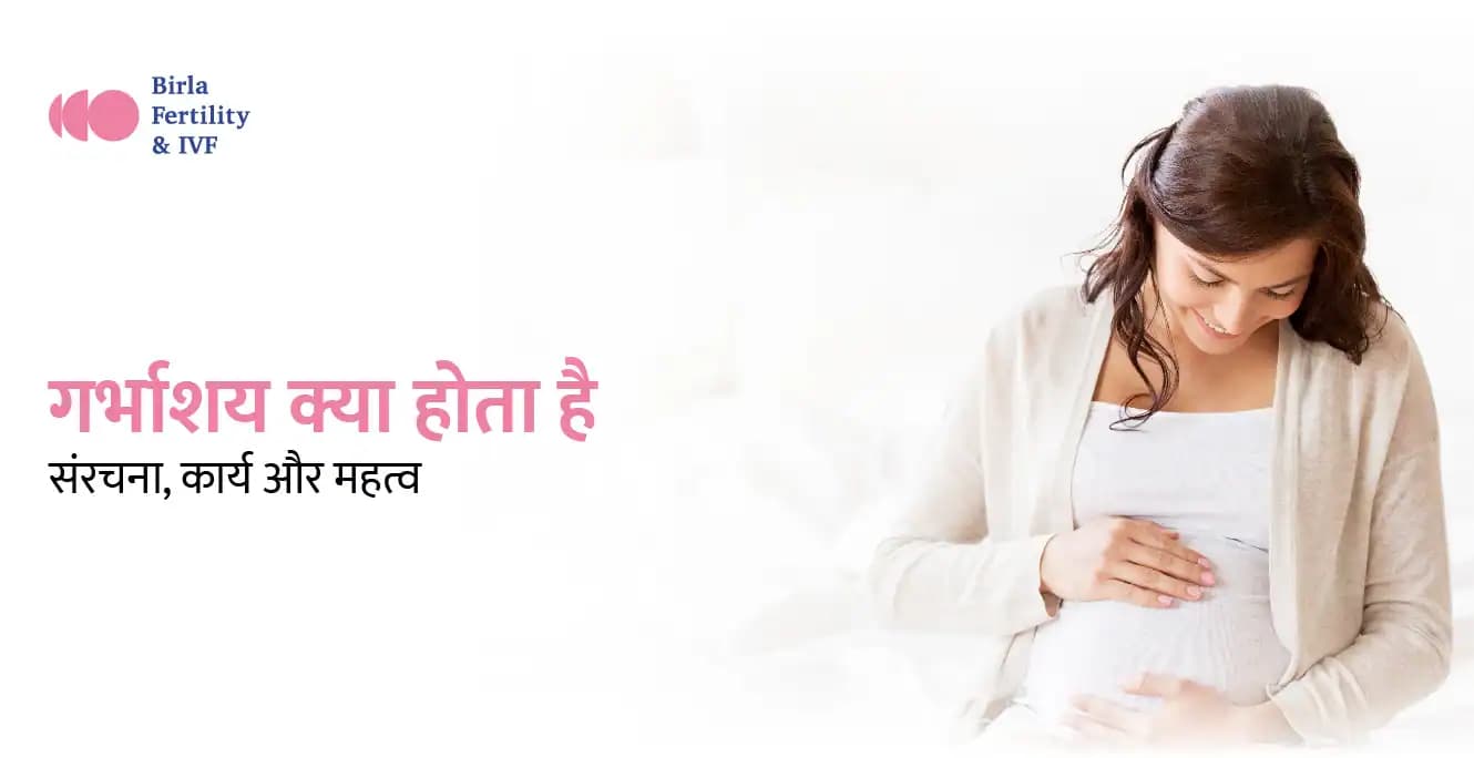 गर्भाशय (Uterus) का अर्थ, शारीरिक रचना, कार्य, आकार और स्थितियाँ