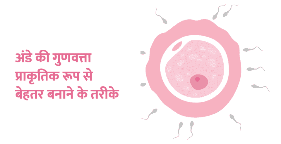 अंडे की गुणवत्ता प्राकृतिक रूप से बेहतर बनाने के तरीके