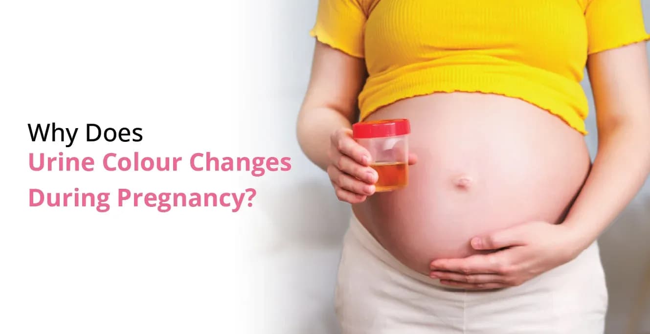Why Does Urine Colour Change During Pregnancy?