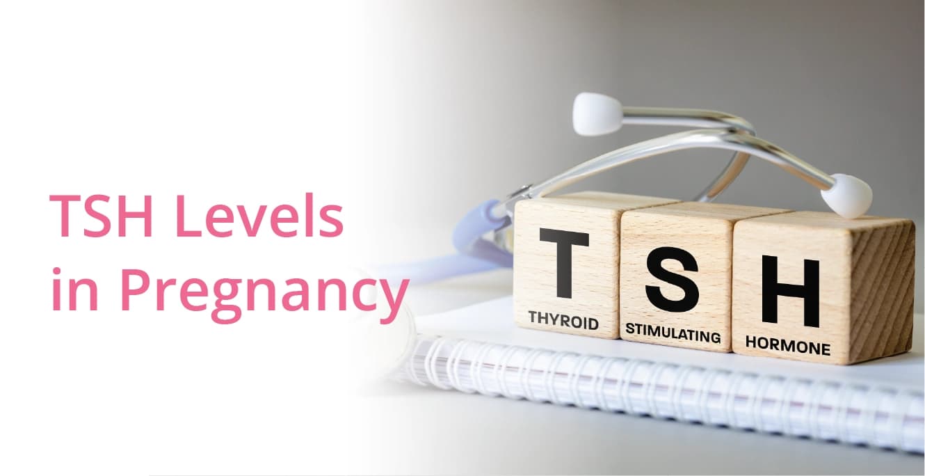 TSH Level in Pregnancy: Normal Range, Symptoms & Treatment
