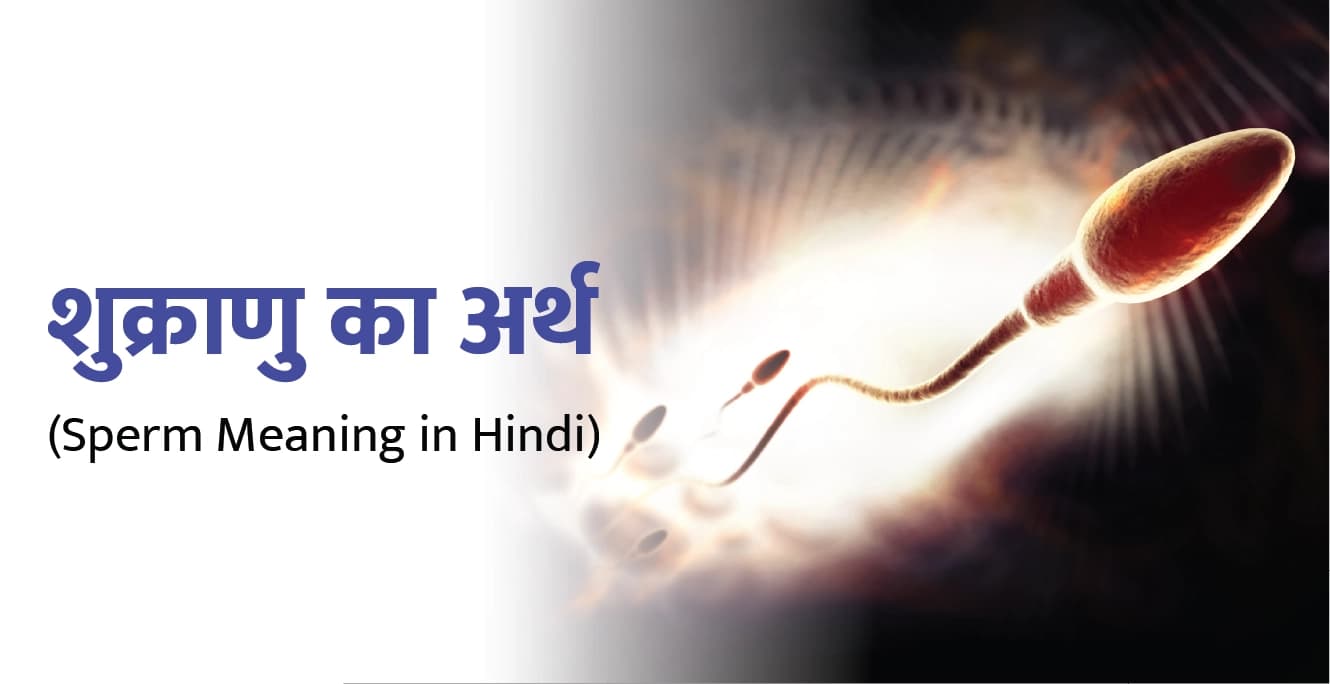 स्पर्म का मतलब क्या होता है? | Sperm Meaning in Hindi