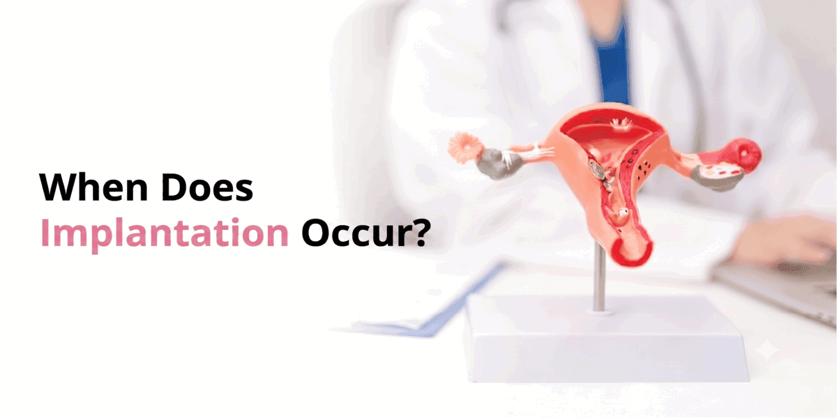 When Does Implantation Occur? Timeline, Symptoms & What to Expect