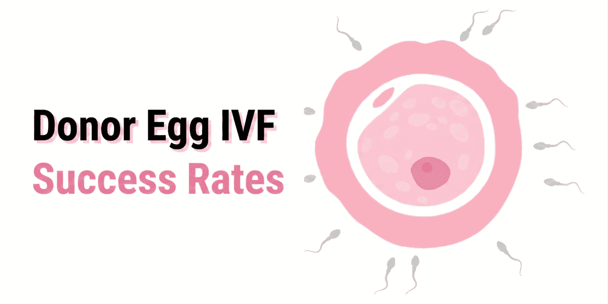 Donor Egg IVF Success Rates: Factors, Chances & What to Expect