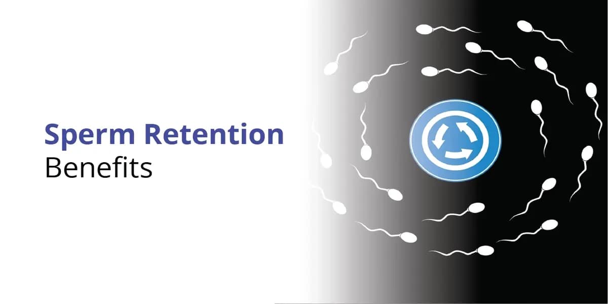 Sperm Retention: Benefits, Risks, Fertility & Testosterone