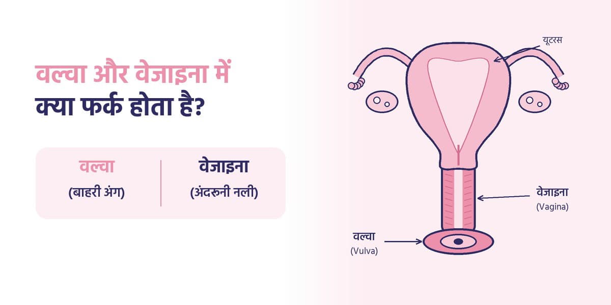 वल्वा और वेजाइना में क्या फर्क होता है?