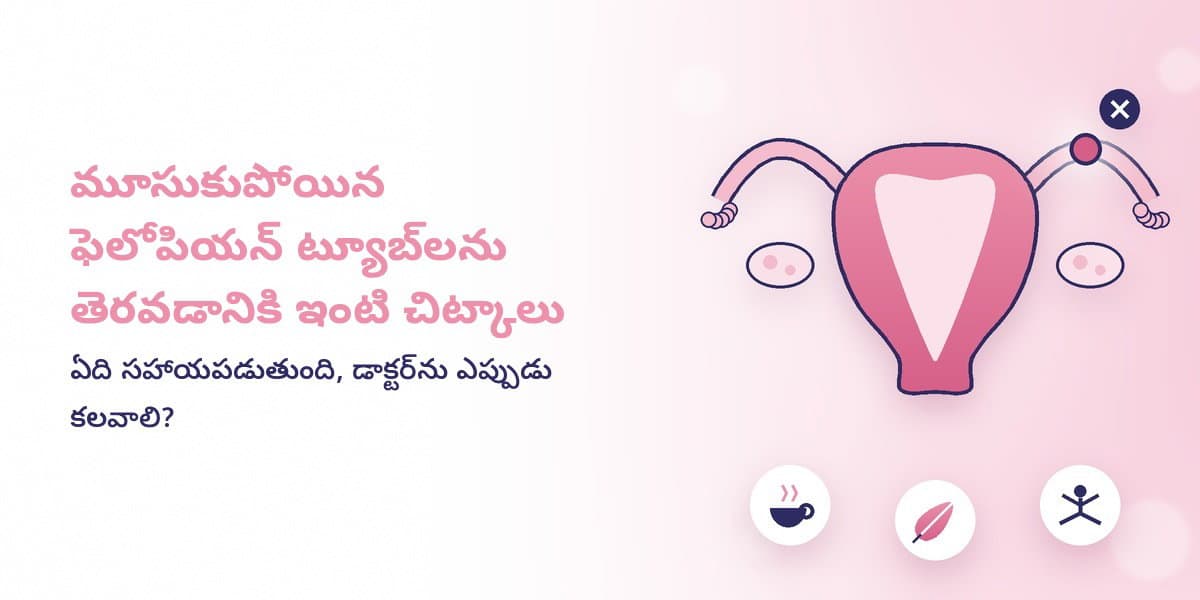 మూసుకుపోయిన ఫెలోపియన్ ట్యూబ్స్ తెరవడానికి ఇంటి చిట్కాలు – నిజమెంత?