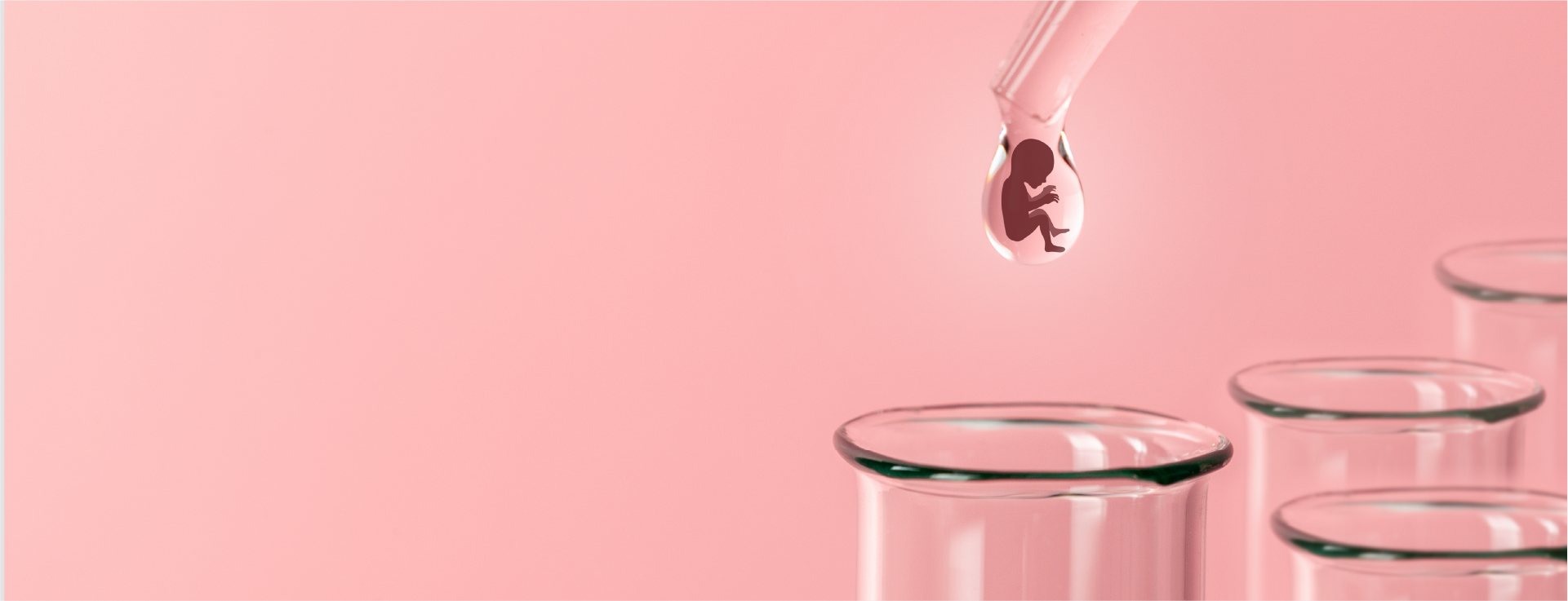 Difference between a test-tube baby and IVF