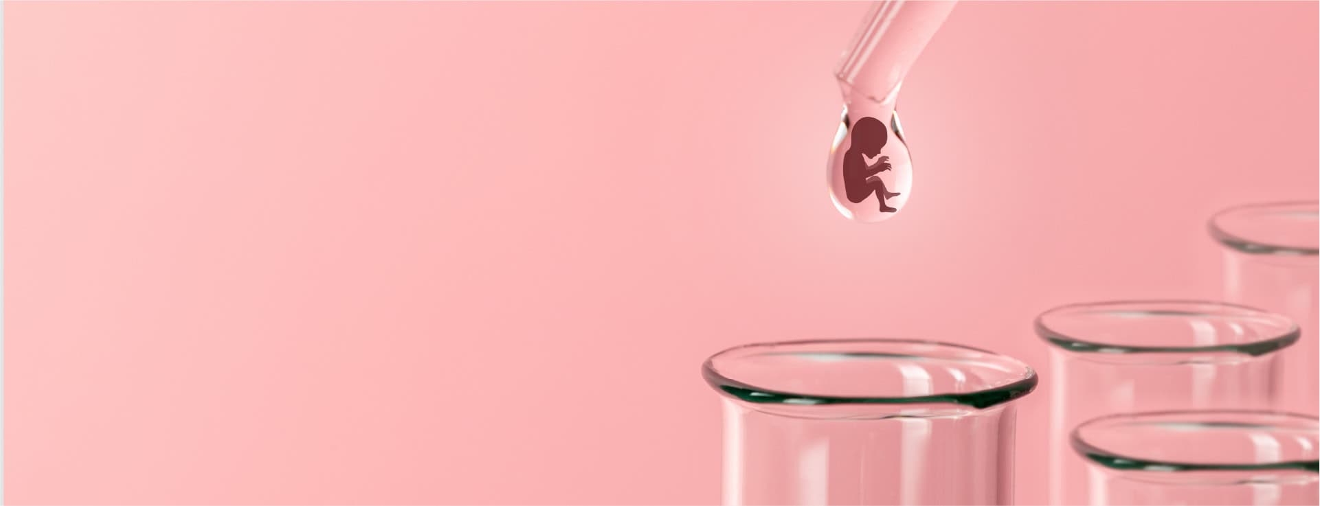 Any Difference Between Test Tube Baby IVF Baby Birla Fertility And IVF