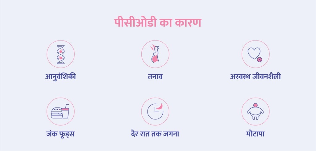 causes of pcod depicted in form of flow chart in hindi language